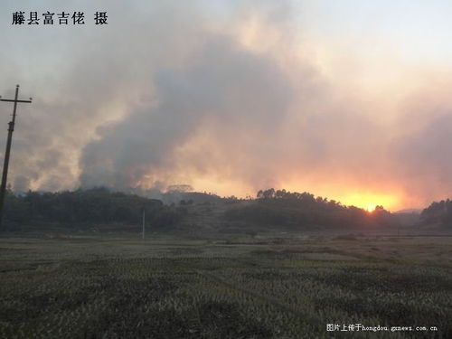 (大牯牛寨山)官方通报游客纵火事件,揭秘大牯牛山火灾背后的真相与影响